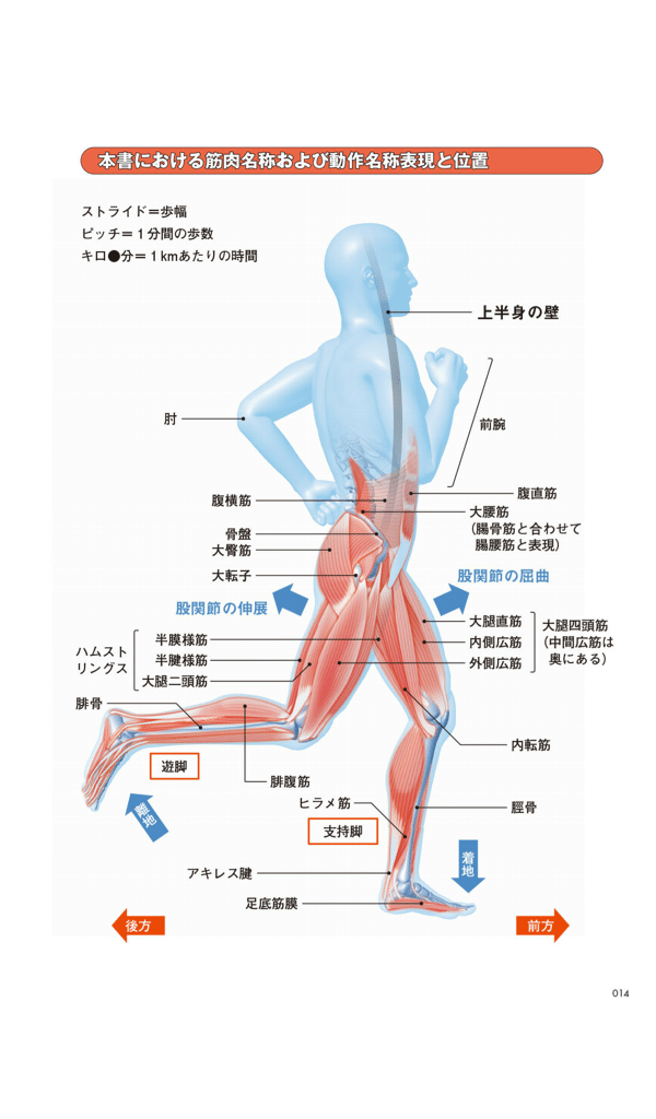 最近の走り方のコツ 大転子をつかって走ること 骨盤周りを回転させてピッチを意識すること M Um U Note 最近の走り方のコツ 大転子をつかって走ること 骨盤周りを回転させてピッチを意識すること M Um U Note