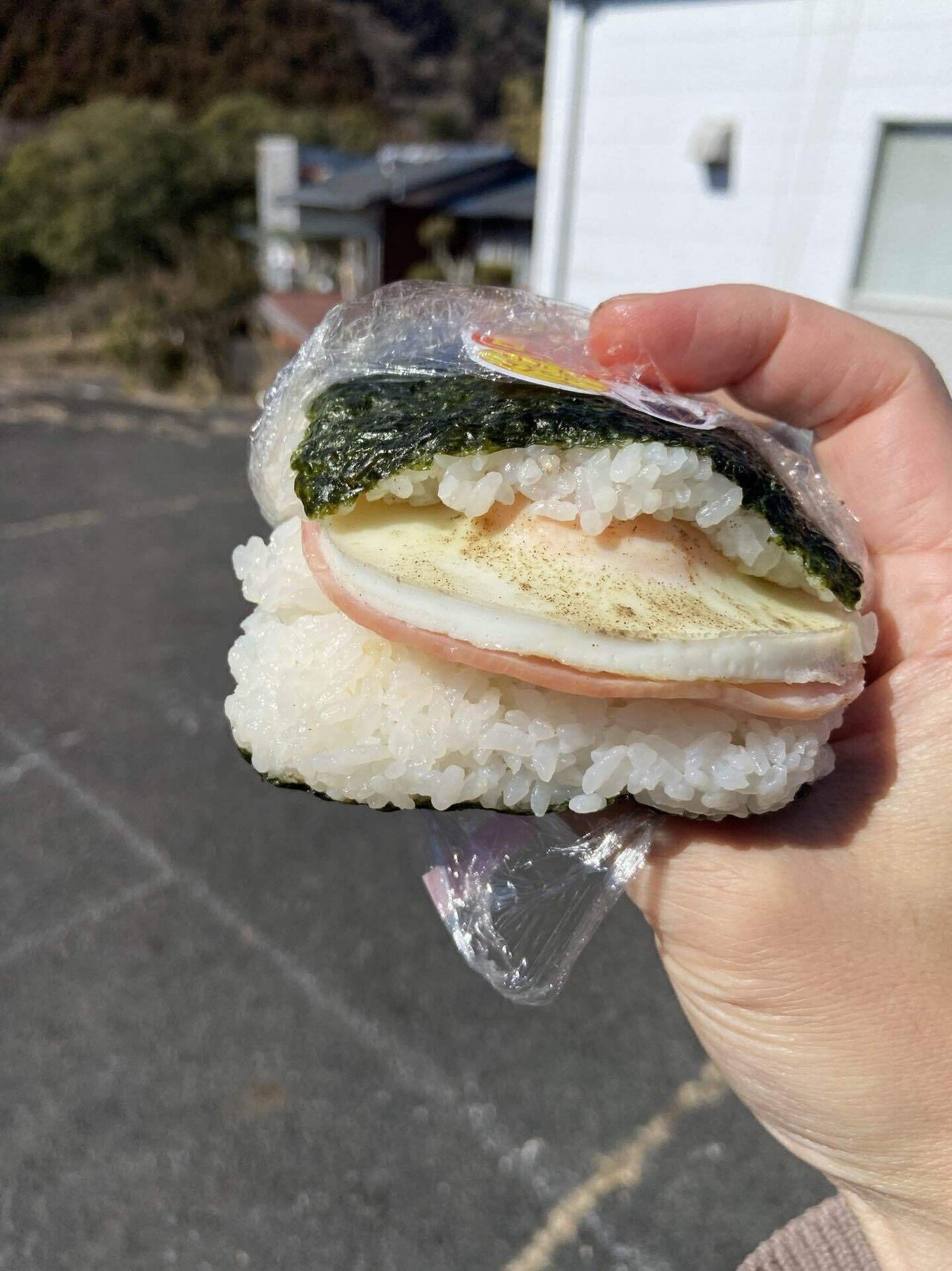 奥久慈で発見！天空の城ラピュタに出てきそうな「目玉焼きのおにぎり