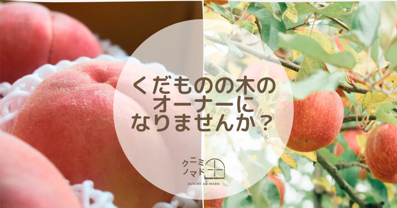 果物 41kuromani オーナー制度2025の受付が始まりました！／｜クニミノマド オーナー制度