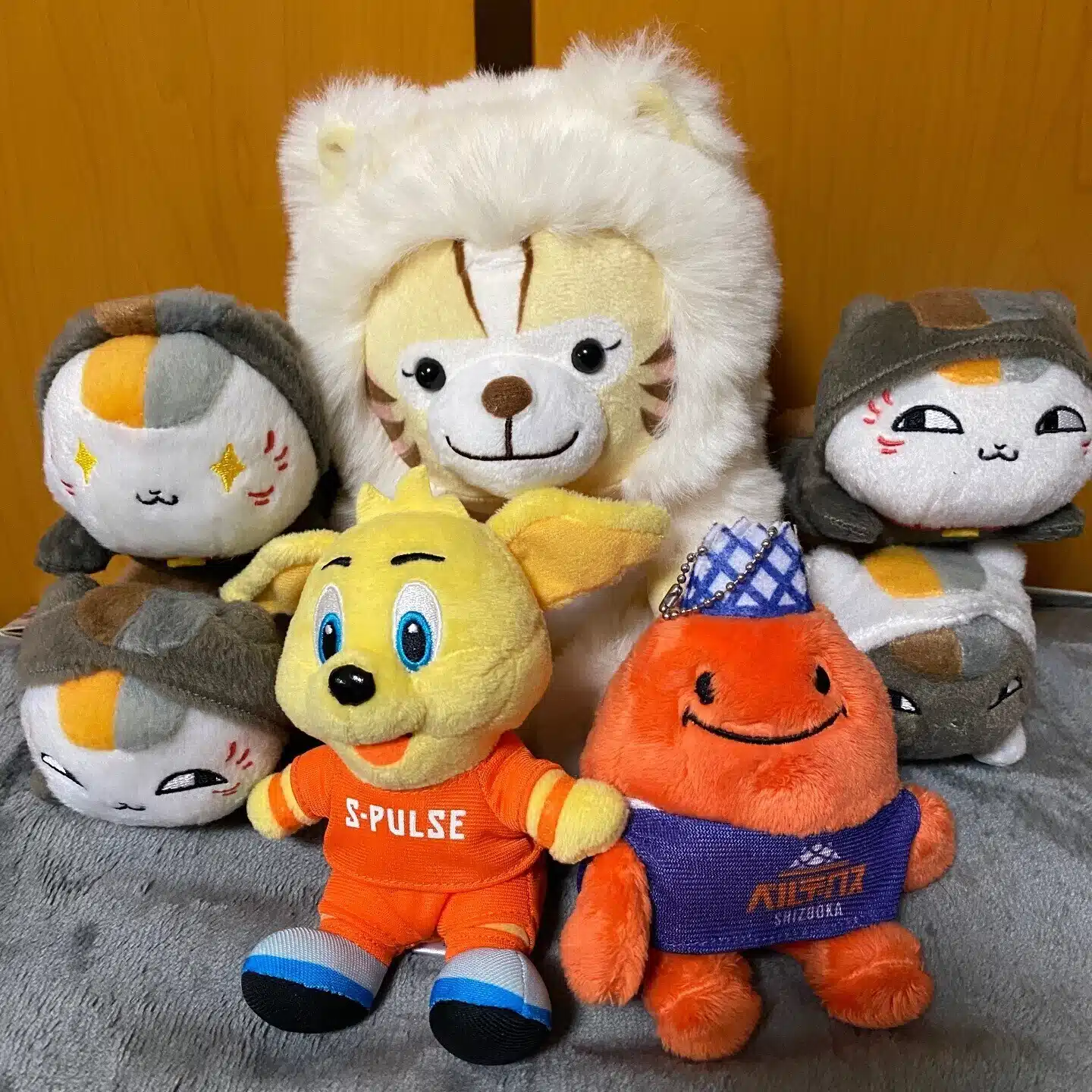 ryohei🍵🍊静岡🗓️