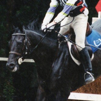 12th EquineVet