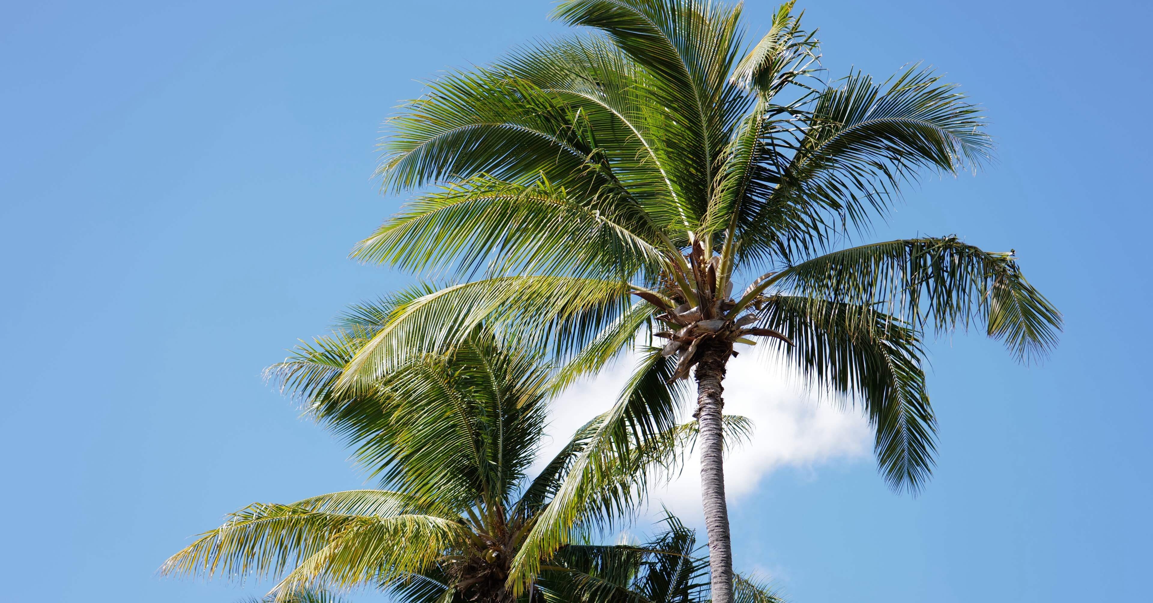 高城剛『LIFE PACKING 60: 未来を生きるためのモノと知恵』を読んで