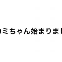 うまくいってない人の記事のほうが読まれてる こづどう 秘密のブログ Note