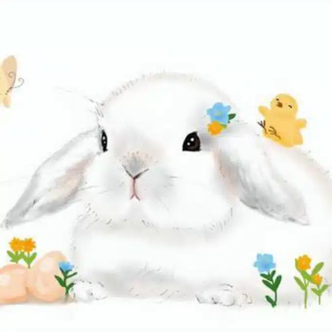うさぎ