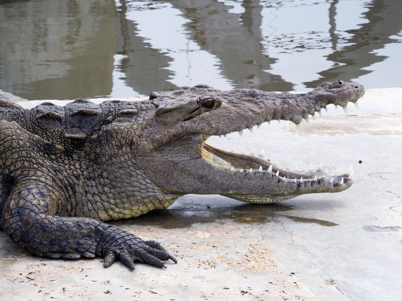 8bccec09d767574f162e71f4cdc257