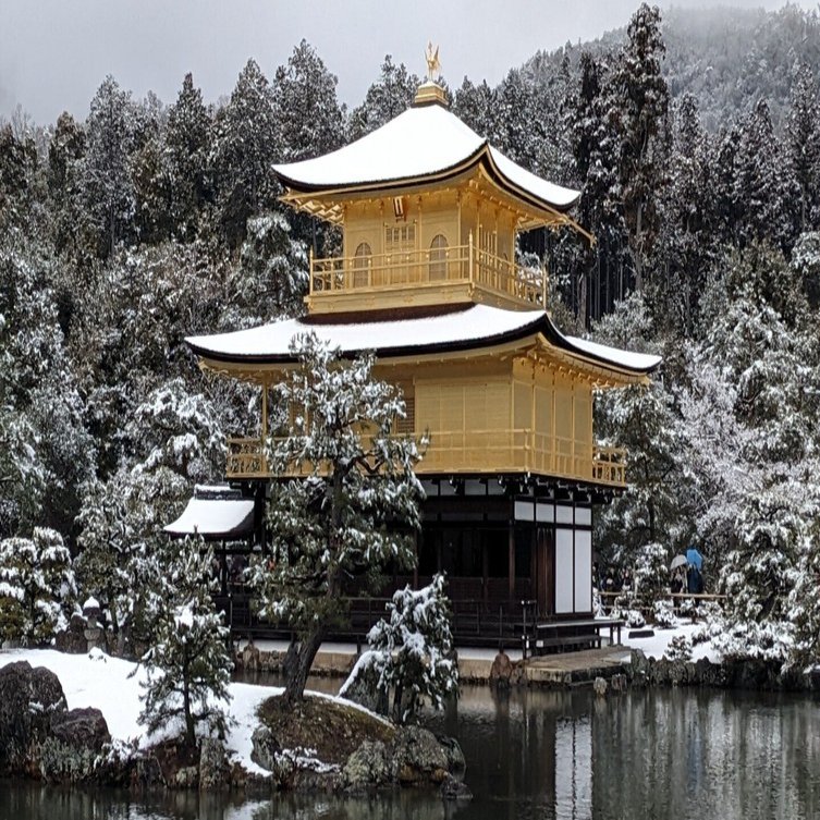 雪の金閣寺、タイミング勝負の絶景｜to-kyo-to