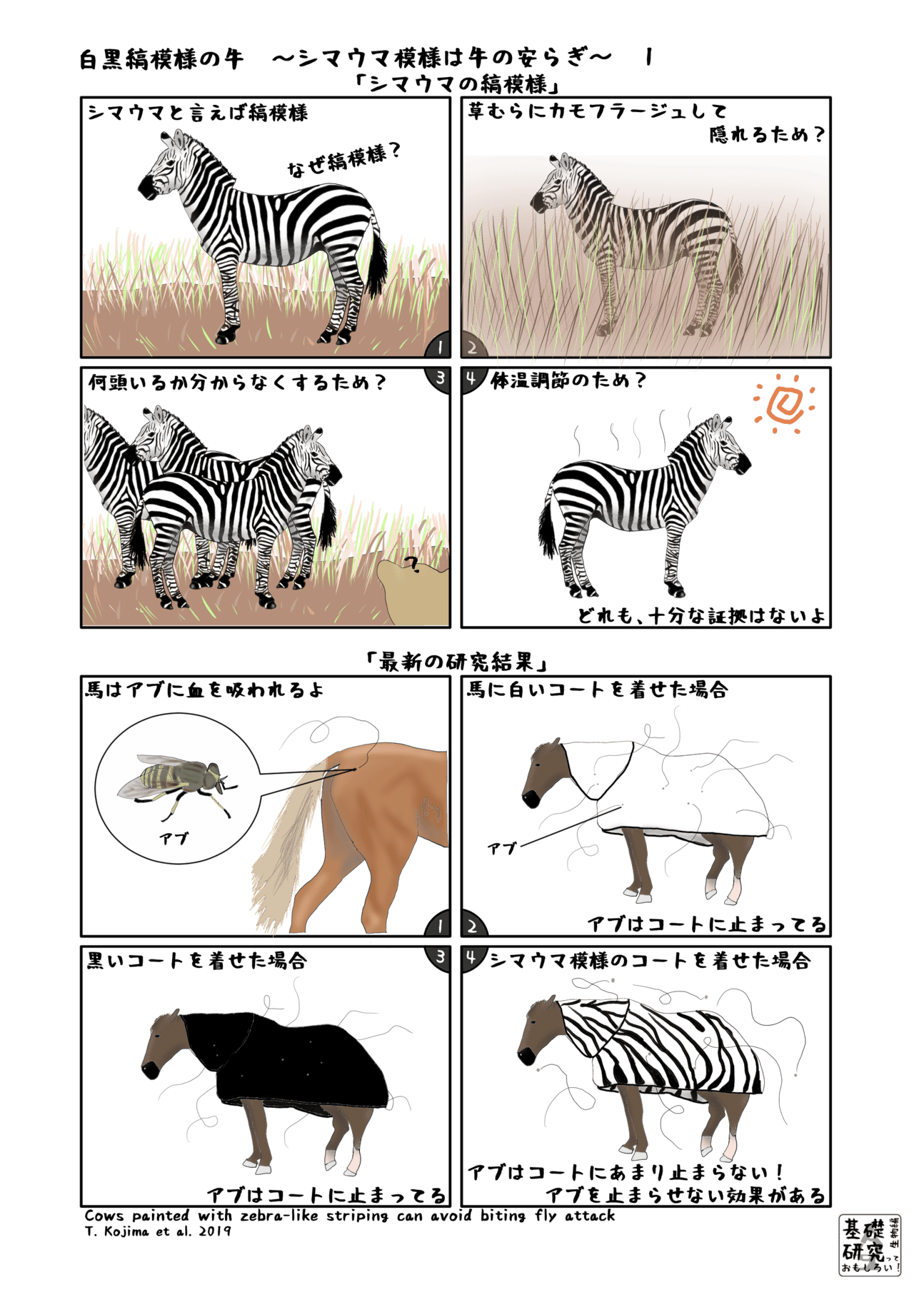 白黒縞模様の牛 シマウマ模様は牛の安らぎ 1 かわいせーざん 基礎研究っておもしろい 生物編 Note