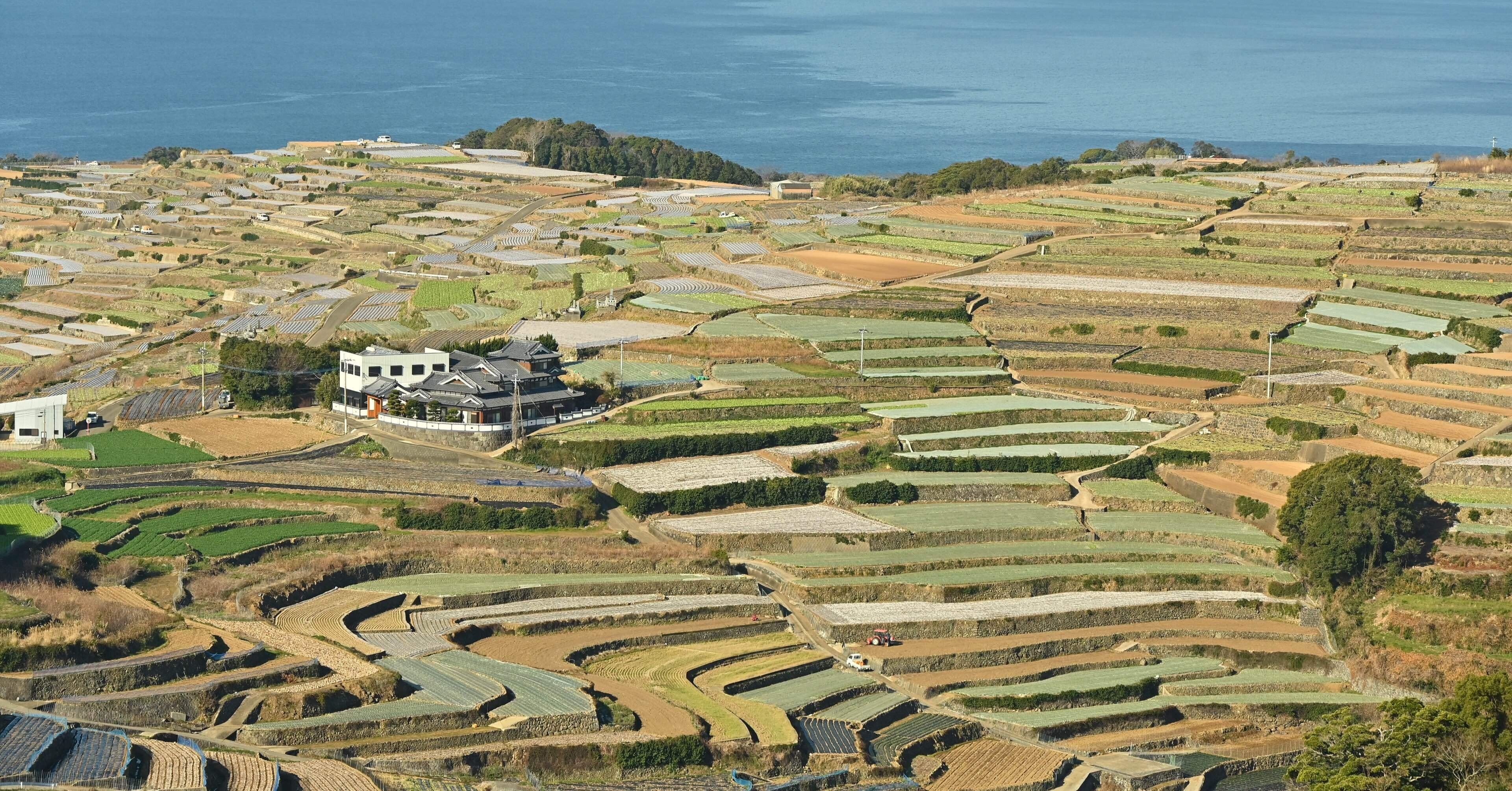 5817b8120dbaf199b4445aabb67b73