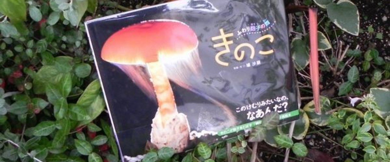 マイタケから遠く離れて きのこ ふわり胞子の舞 写真 埴沙萌 石鍋健太 クラリスブックス Note