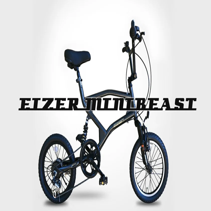 Eizer Mini Beast カスタム車両 EIZER MINIBEAST #00 組み立て｜F.D.L & Tac