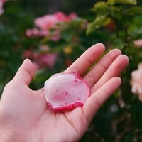 いきものがかりの全楽曲でプレイリスト組んでみた 杉本しほ Note