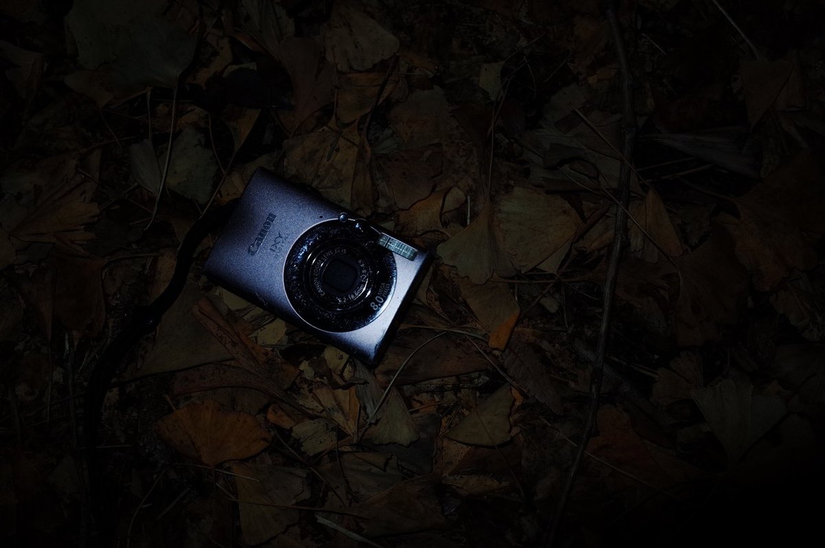 Canon IXY DIGITAL 20 IS|Liocheles Canon IXY DIGITAL 20 IS|Liocheles