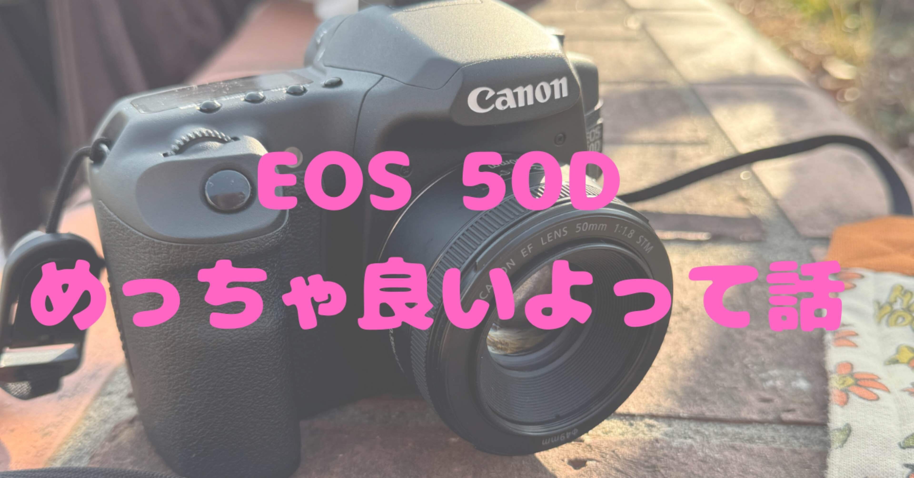 一眼レフ】eos 50d めっちゃ良いよって話｜くろどん │ 育児と写真