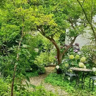 🌿82歳すみかの部屋　79歳で突如思いつき “ 庭と繋がる小さな平屋 ”に建替える