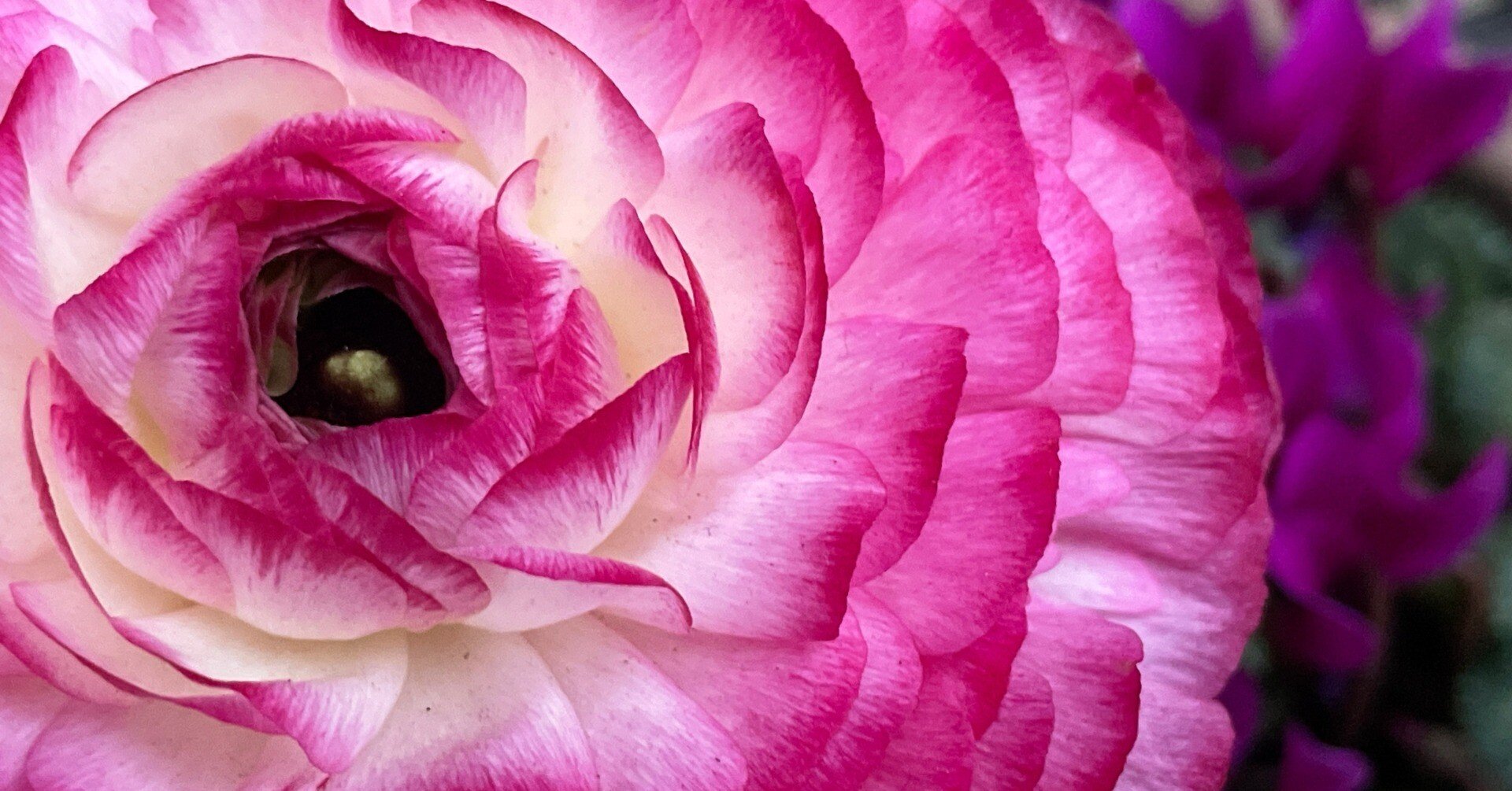 願望実現」にはやっぱりコツがある。｜畠山裕美（Hiromi Hatakeyama