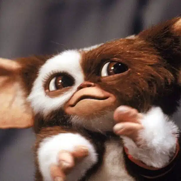 mogwai