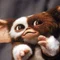 mogwai