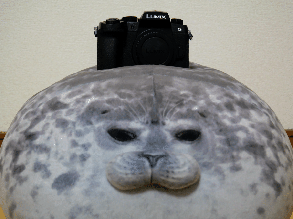 LUMIX G99Dというカメラのレンズキットを買いました|ベッチ LUMIX G99Dというカメラのレンズキットを買いました|ベッチ