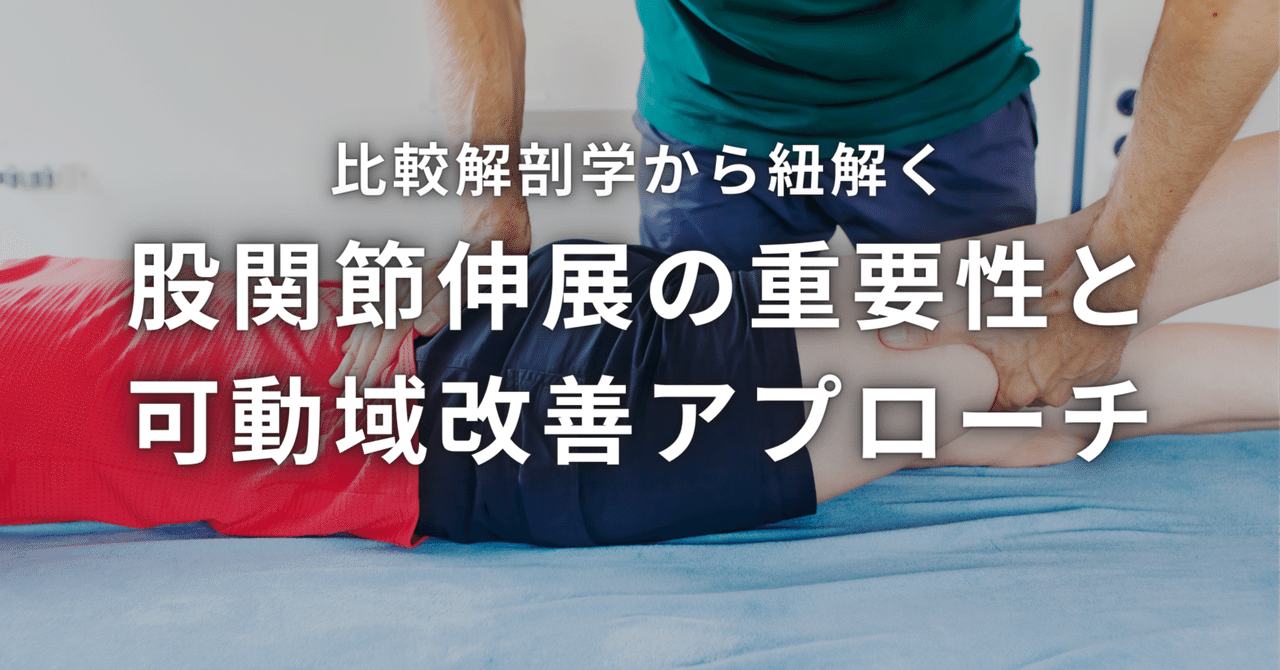 比較解剖学から紐解く股関節伸展の重要性と可動域改善アプローチ｜理学
