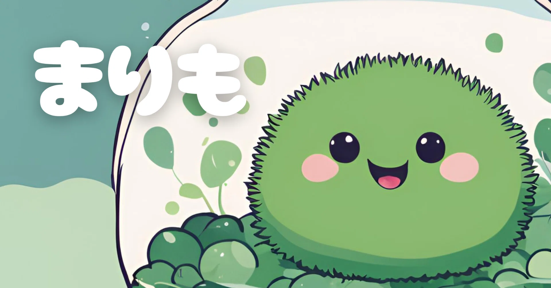 癒しのまりも まりもってなにもの？｜moss paradise3055（モスパラ）