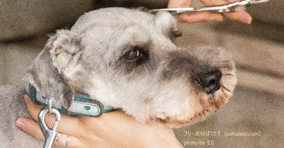 美容院をやめてqbハウスに行くようになった話 Genki Note