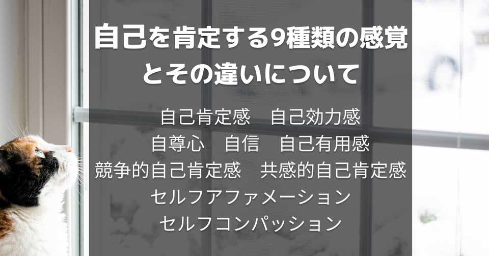 自己を肯定する9種類の感覚とその違いについて 市川円 Note