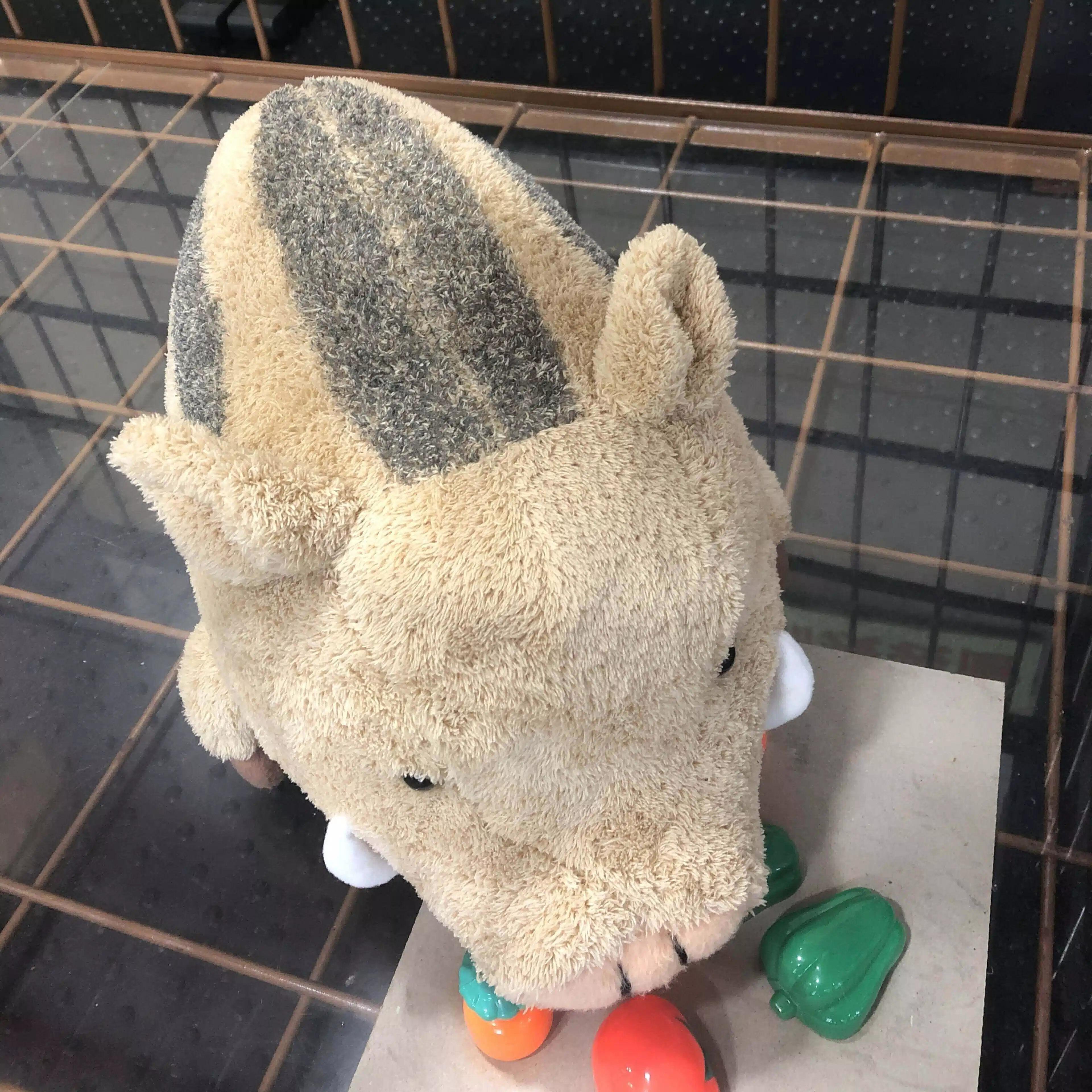 はやお