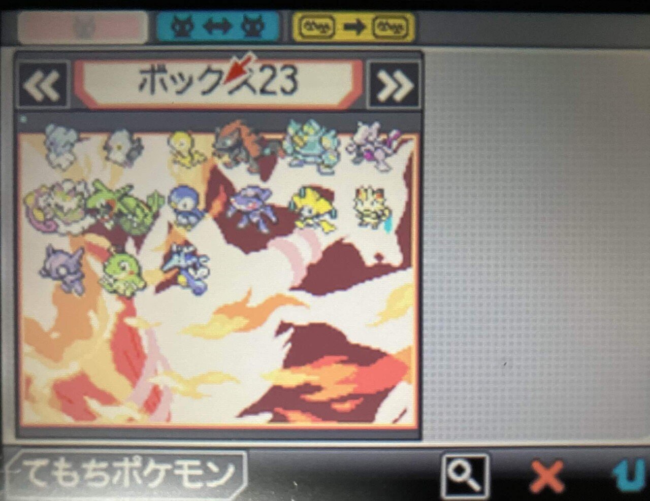 ポケットモンスター ブラック 配布ポケモン　色違い5種 配布ポケモンの思い出(7)：(5世代編)：Wi-Fi＆ポケセン無双