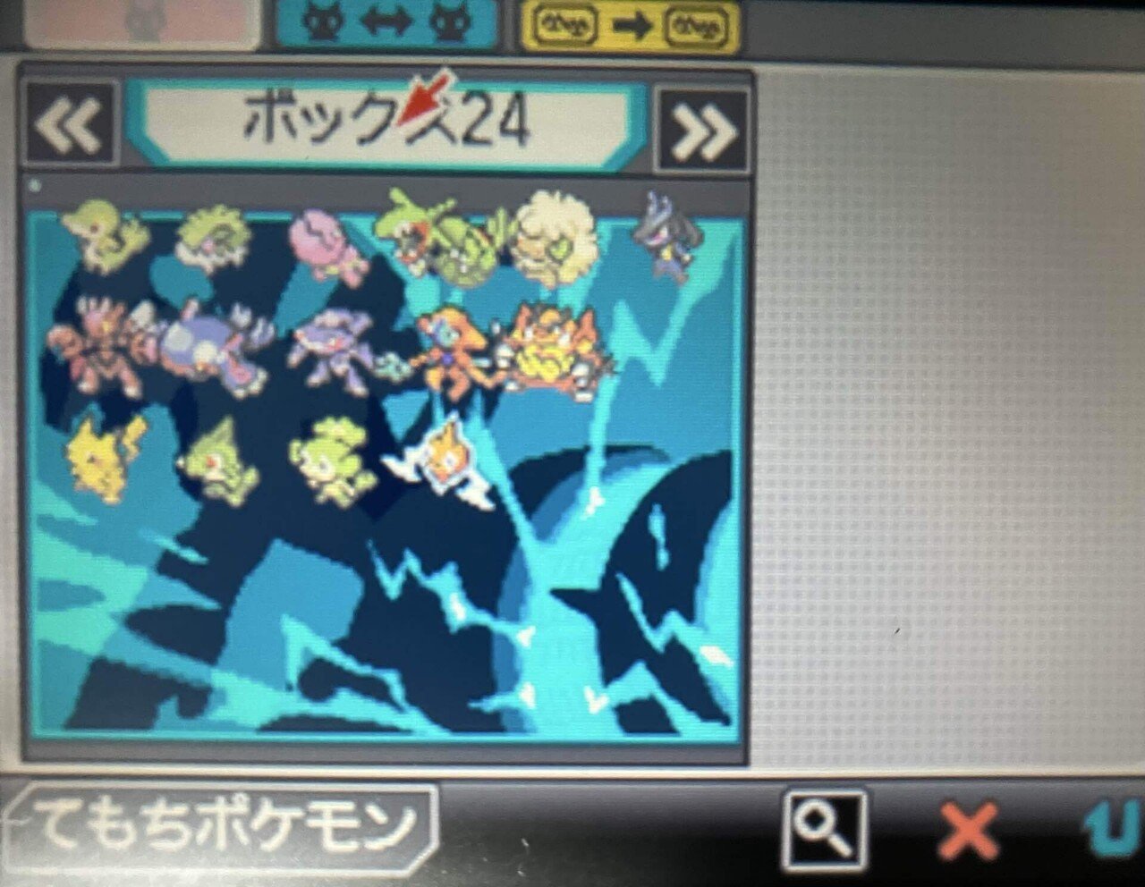 ポケットモンスター ブラック 配布ポケモン　色違い5種 ポケットモンスター ブラック 配布ポケモン 色違い5種