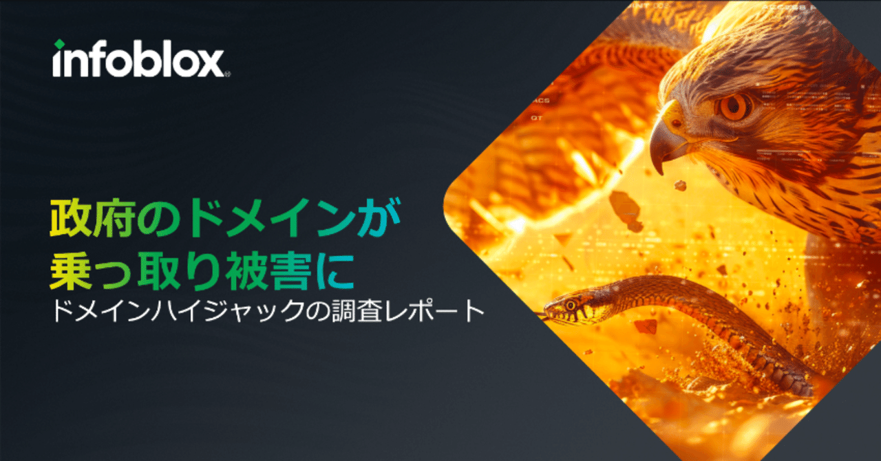 日本政府のドメインが乗っ取り被害に - ドメインハイジャックの調査レポート｜Infoblox Japan公式