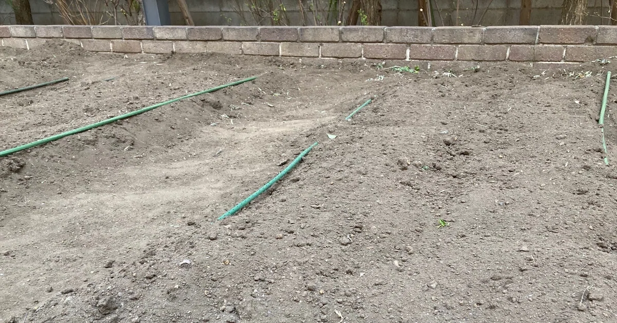 Growing vegetables in a flower bed between high-rise apartments!｜旅するカウンセラー