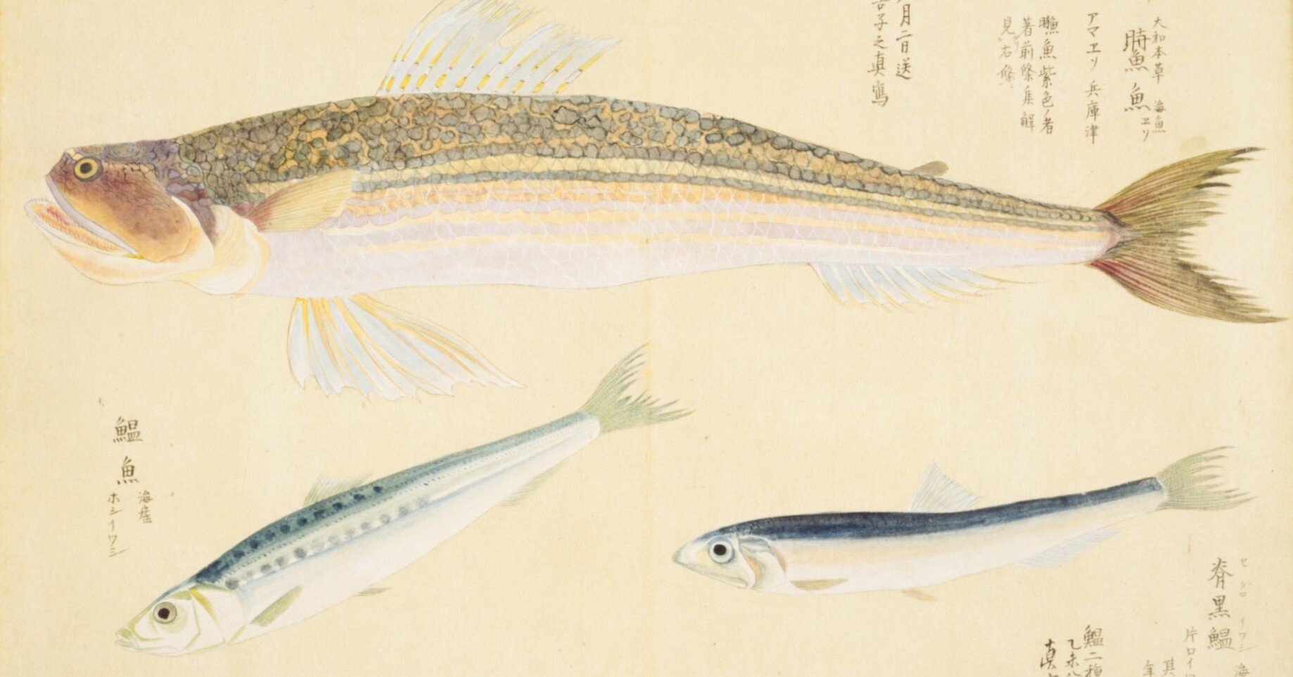 b7f940579c1efc606116acf374db29