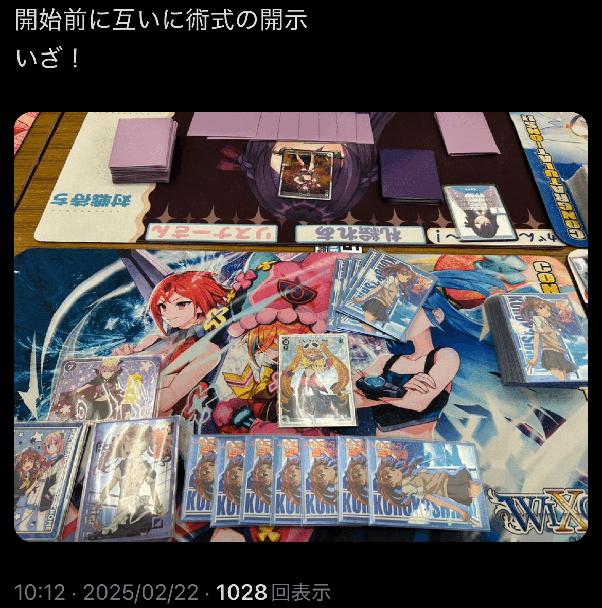 水獣エルドラのススメ(デッキ解説・大会レポ、wixoss/ウィクロス