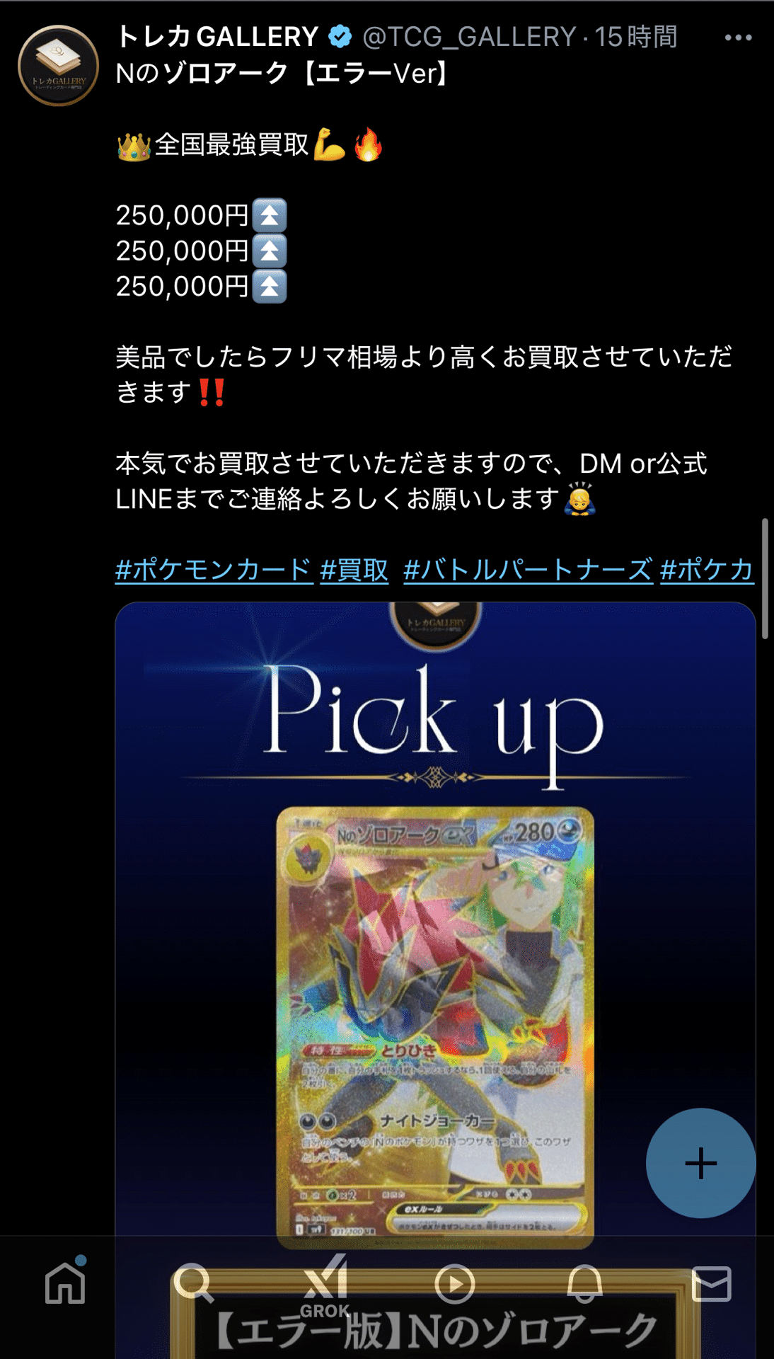 10】Nのゾロアーク エラー版 / これからの予想|dede 10】Nのゾロアーク エラー版 / これからの予想|dede