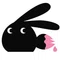 BrushBunni