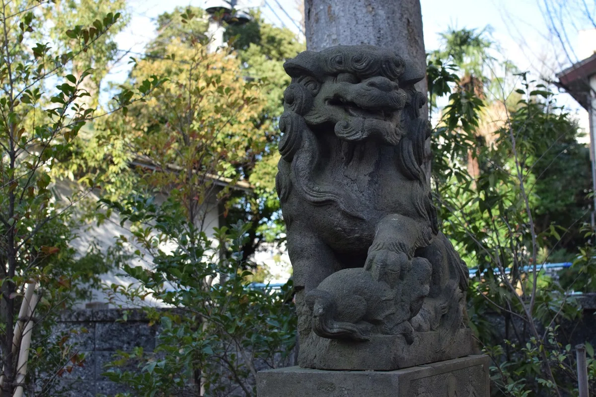 画像9