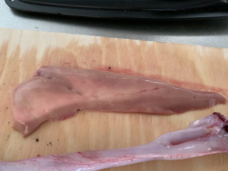 釣ったアナゴ捌いて食べてみた ザ キャプテン ロットンズ Note