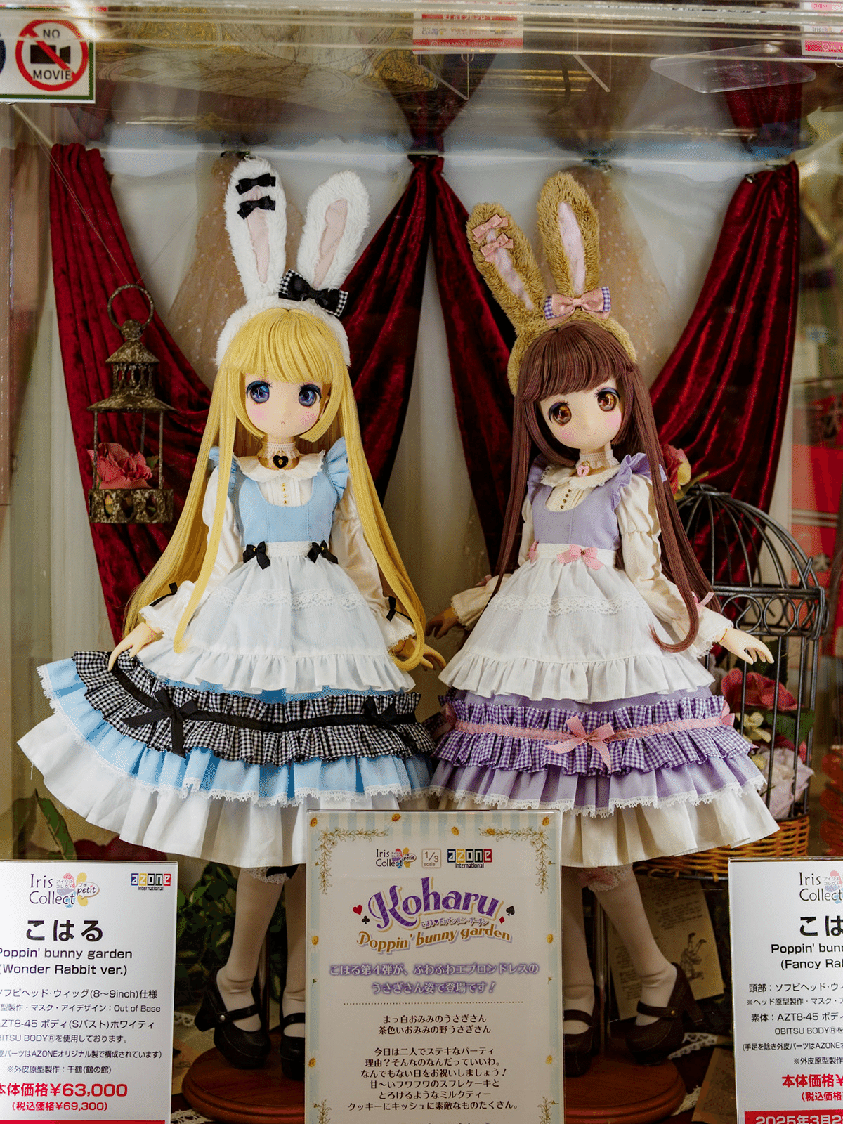 アゾン沼オーナーの視点でみる♡こはるちゃん♡撮影する人の目になれる