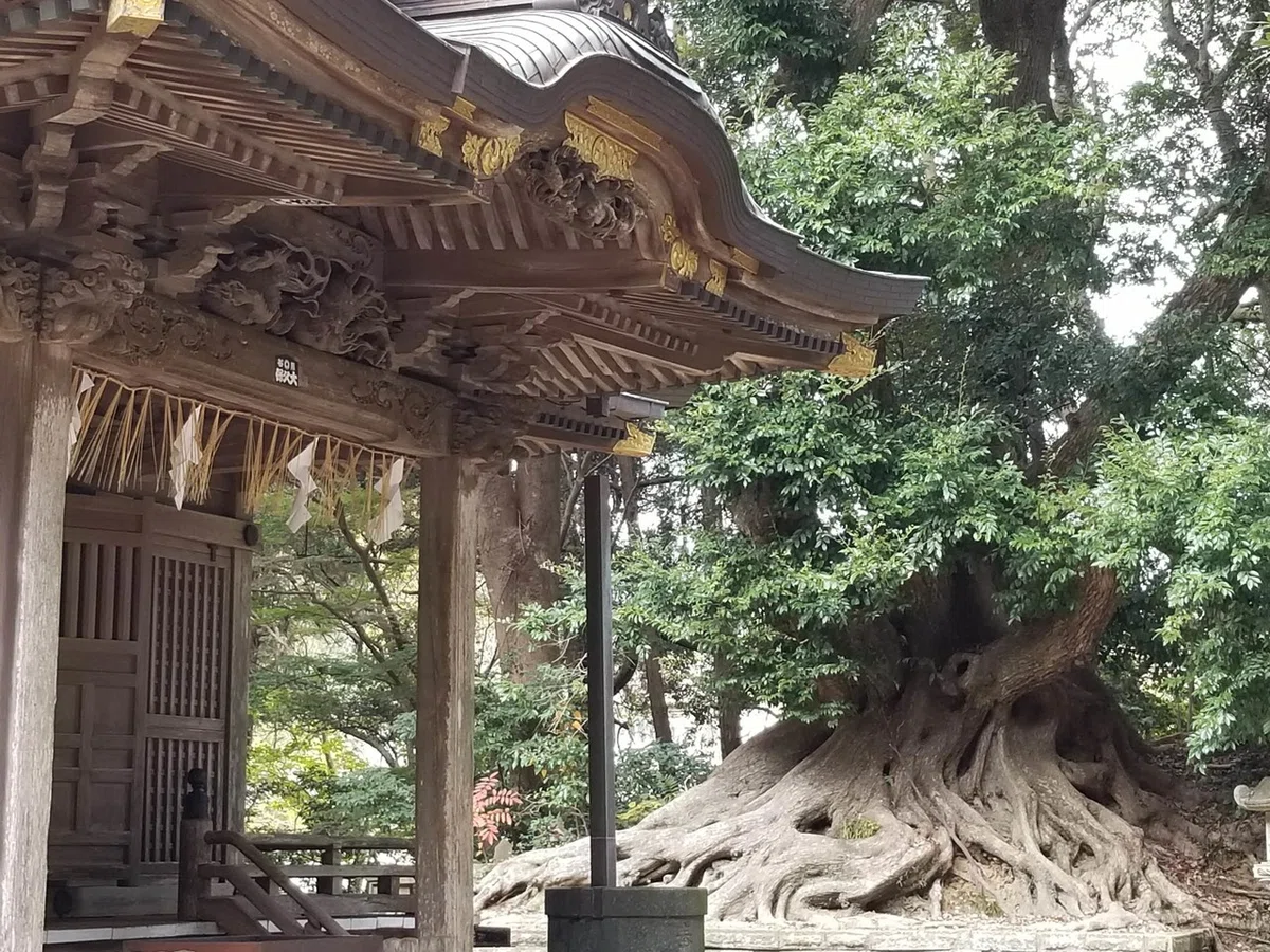 画像8