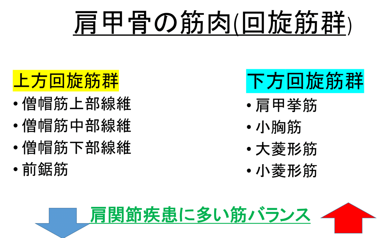 肩甲骨の安定化機構 ショックアブソーバーとフローティング機構って 臨床応用編 藤沢肩関節機能研究会 郷間 Note 肩甲骨の安定化機構 ショックアブソーバーとフローティング機構って 臨床応用編 藤沢肩関節機能研究会 郷間 Note