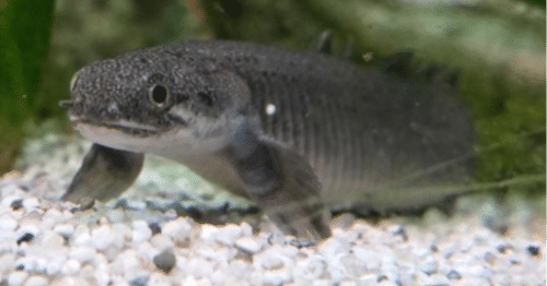 78687bb218ee06b744e77a2296ea68