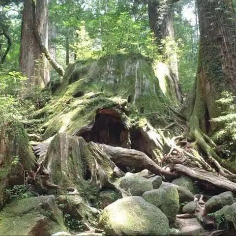 watabin