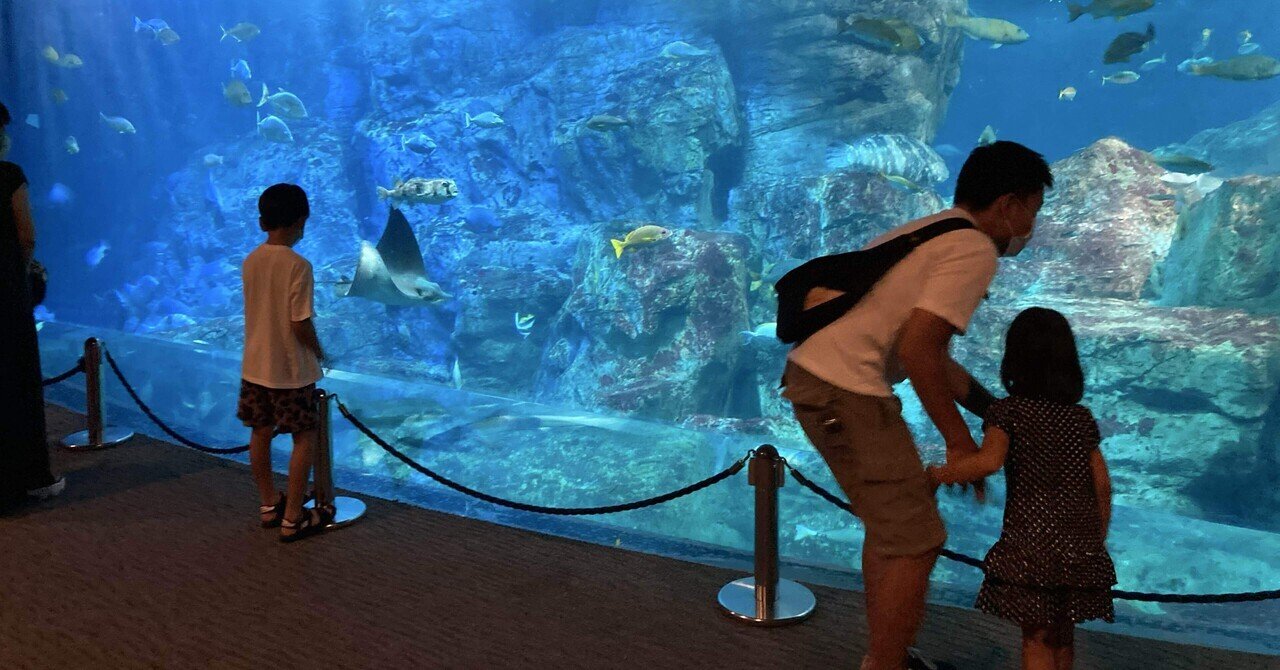 旅好きママダイバーが選ぶ！子連れで何度でも行きたい水族館7選＋