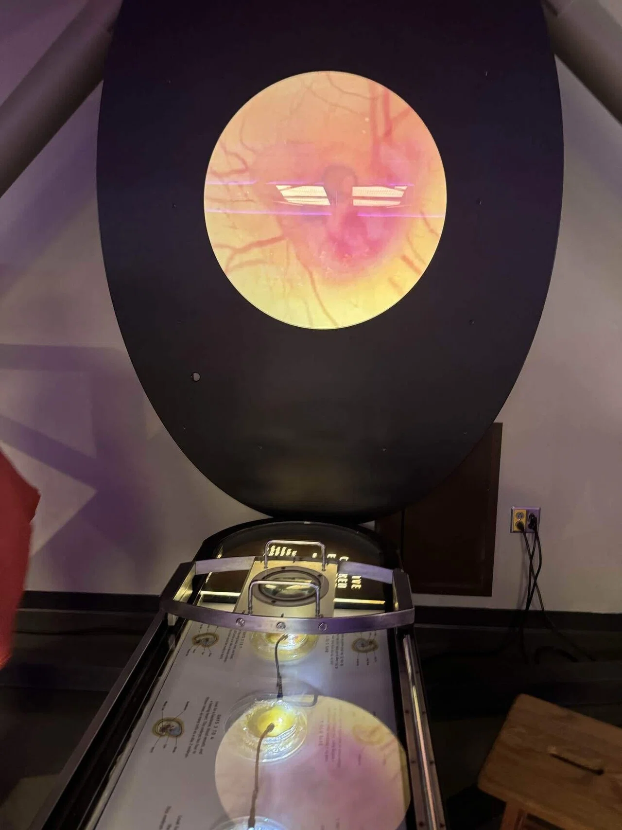 サンフランシスコで困ってます】子供にバカ受け科学館Exploratorium
