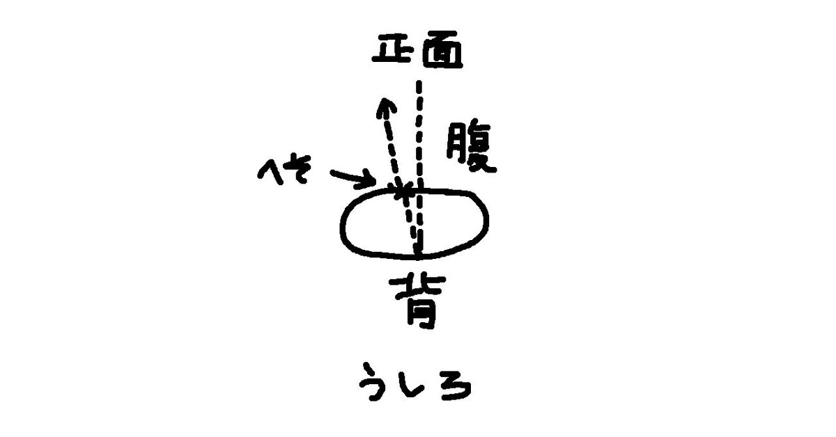 へそ曲がり