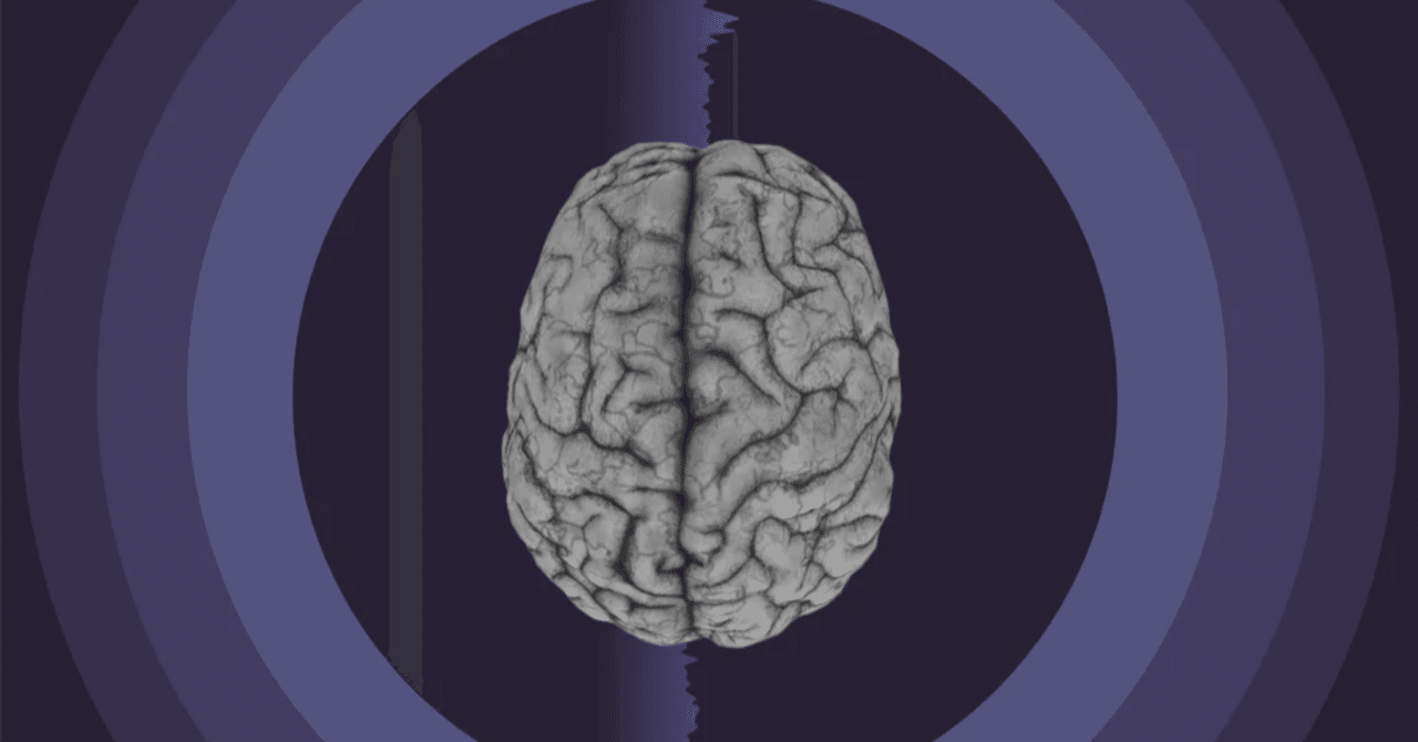 脳の配線を変える：神経可塑性が私たちの習慣と健康をどう形作るか