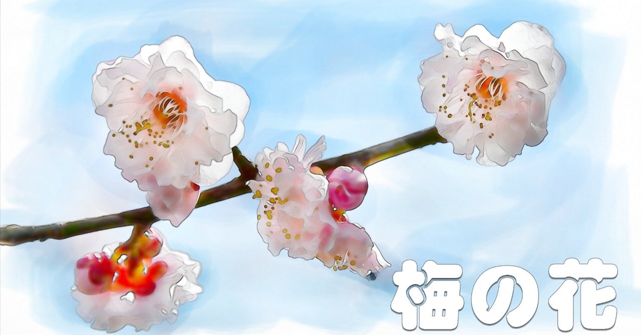 梅の花（水彩画風）｜taka