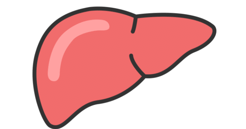 2025年度] --肝臓学会専門医 試験対策--｜かまみむかもめ
