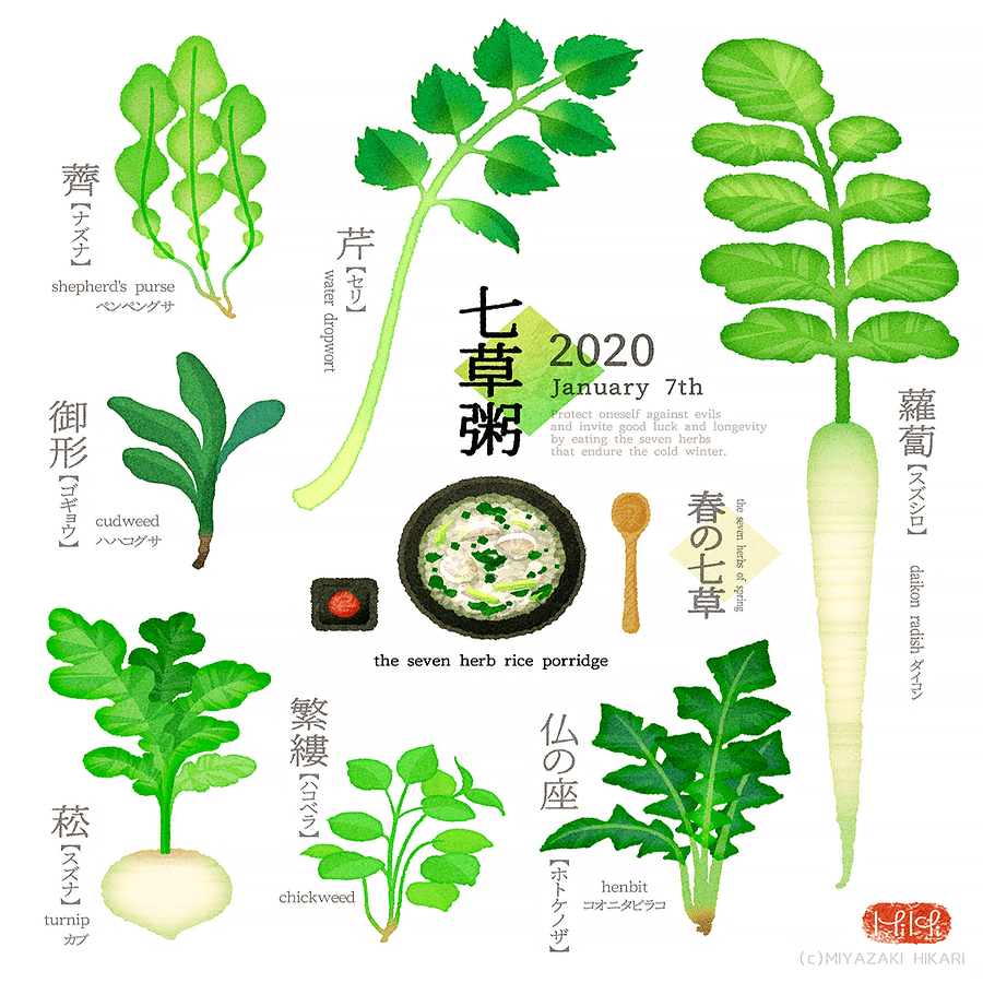 七草粥 宮崎ひかり Note