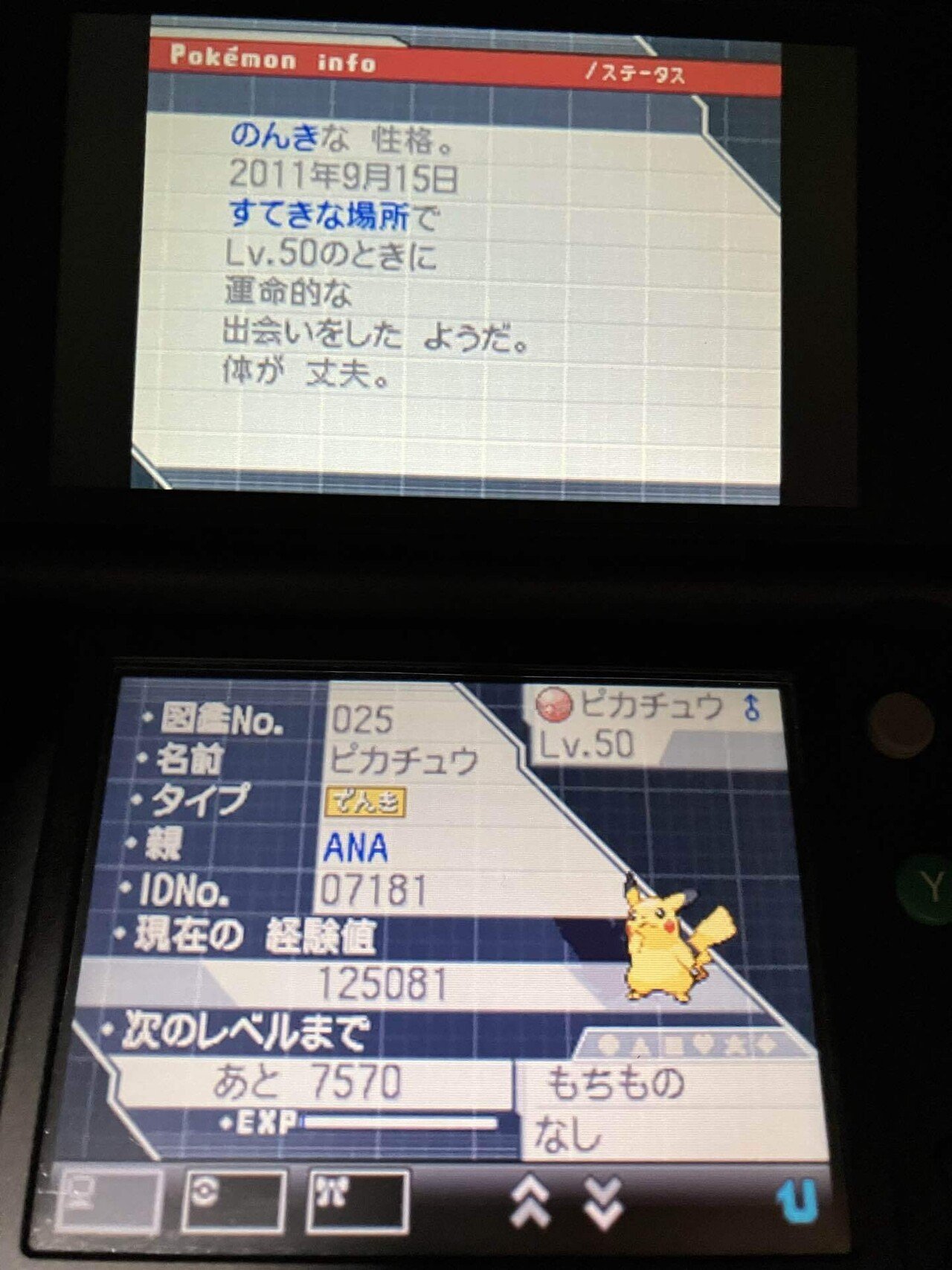 自己受け取り6世代えいがかん配布　ポケットモンスターY 自己受け取り6世代えいがかん配布 激レアポケットモンスターY